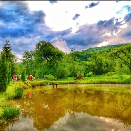 Pensiunea Cerbul - Valea Dobarlaului Экстерьер фото