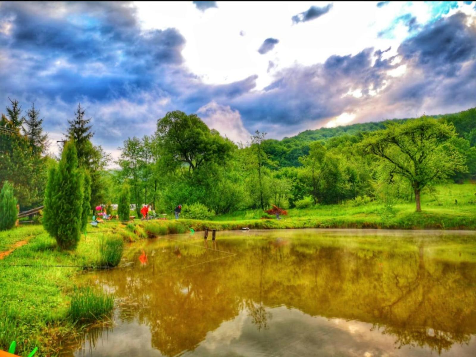 Pensiunea Cerbul - Valea Dobarlaului Экстерьер фото