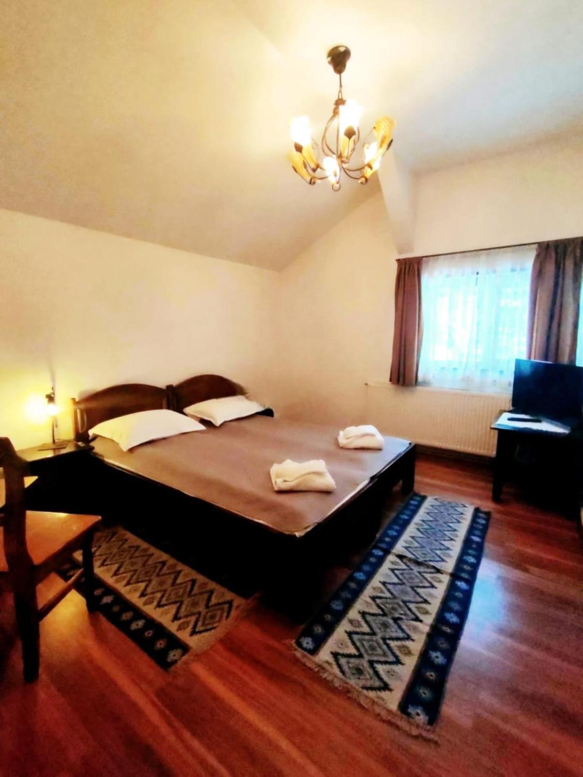 Pensiunea Cerbul - Valea Dobarlaului Экстерьер фото