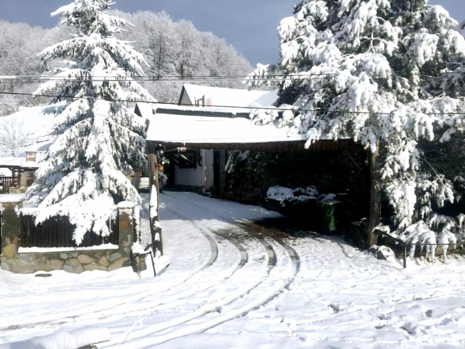 Pensiunea Cerbul - Valea Dobarlaului Экстерьер фото